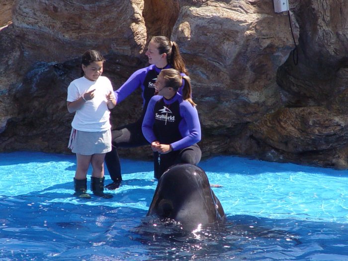 Sea World
